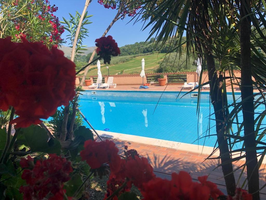 Rea Villa Coltodino Exteriér fotografie